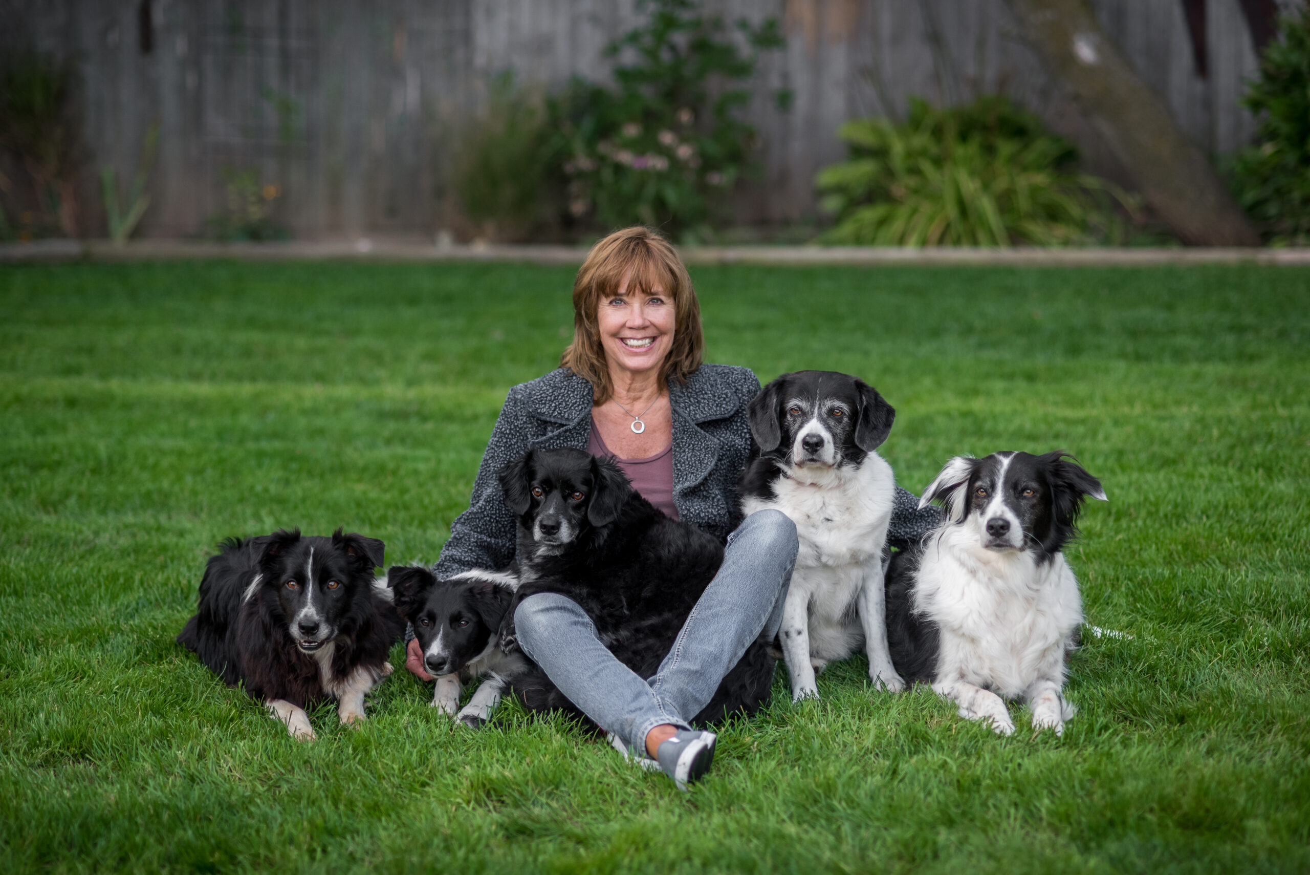 K-9 Perfection Photo Gallery | Mary Jackson, Manitowoc Wisconsin | Dog Obedience Trainer