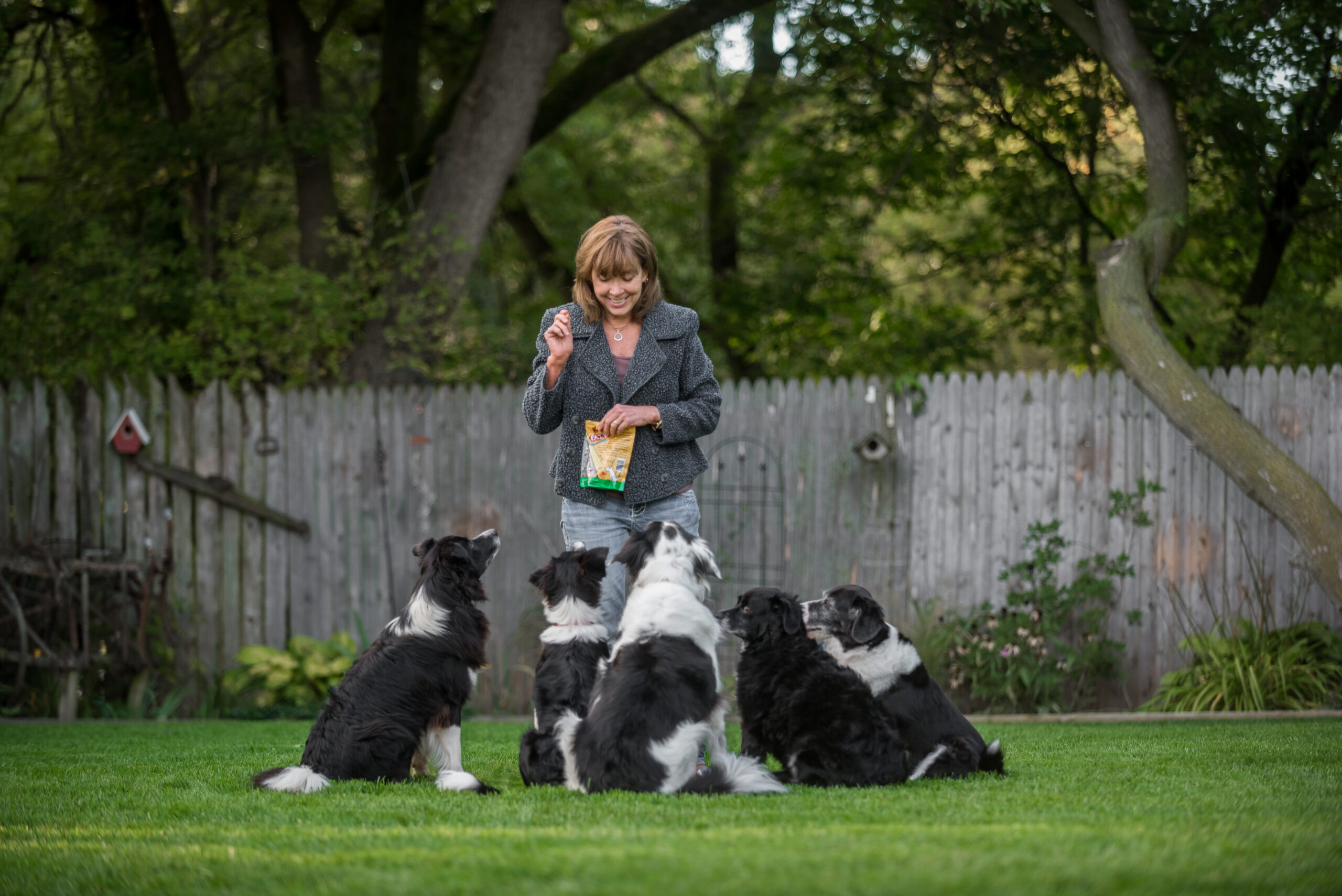 K-9 Perfection Photo Gallery | Mary Jackson, Manitowoc Wisconsin | Dog Obedience Trainer
